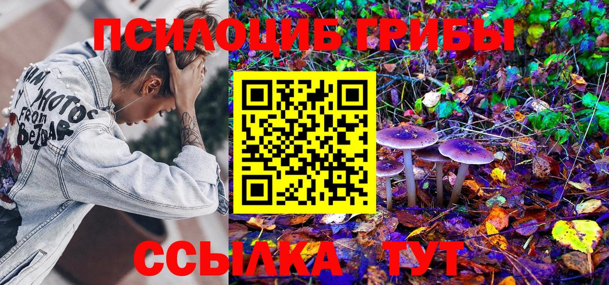 Галлюциногенные грибы Psilocybe Лянтор